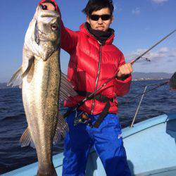 アマテラス 釣果