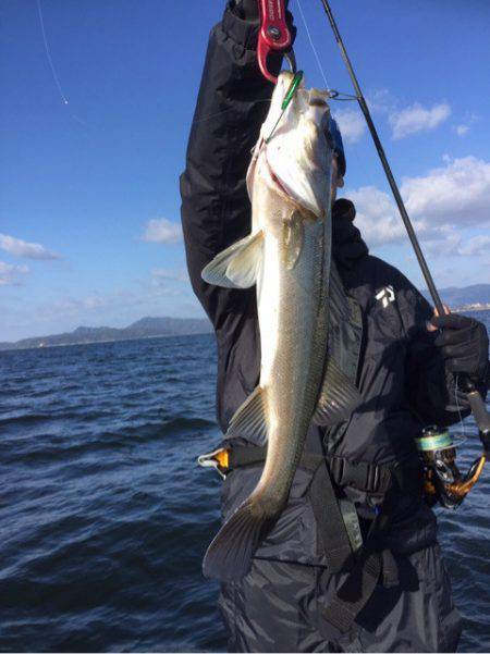 アマテラス 釣果