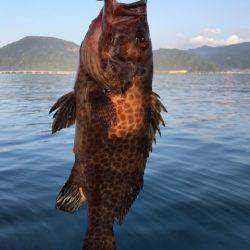 龍神丸(鹿児島) 釣果
