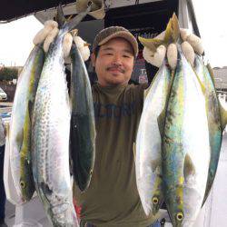 ビッグファイター 釣果