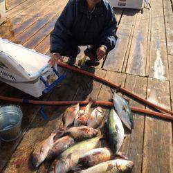釣り堀水宝 釣果