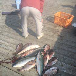 釣り堀水宝 釣果