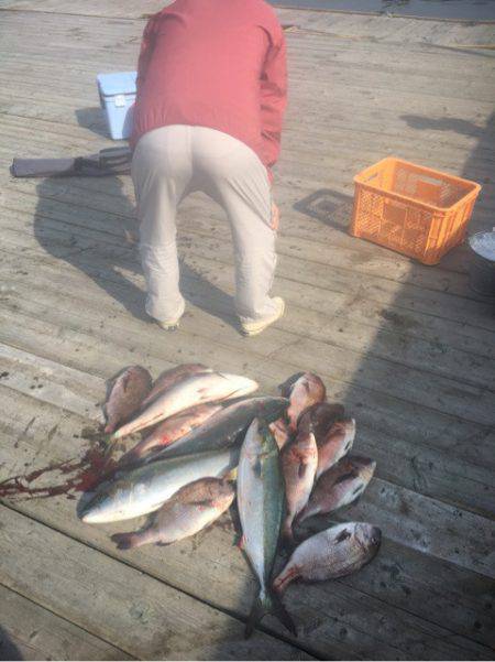釣り堀水宝 釣果