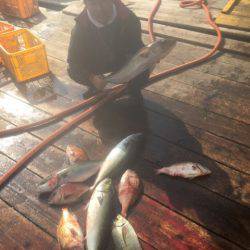 釣り堀水宝 釣果