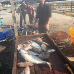 釣り堀水宝 釣果