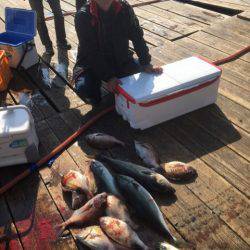 釣り堀水宝 釣果