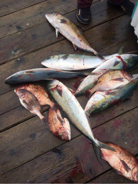 釣り堀水宝 釣果