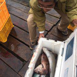 釣り堀水宝 釣果