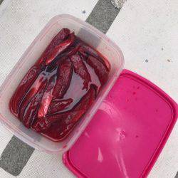 Ｖ−７ West 釣果