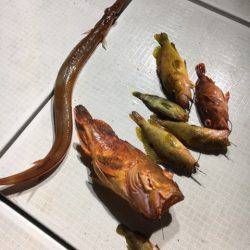 海楽隊 華栞丸 釣果