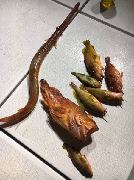 海楽隊 華栞丸 釣果