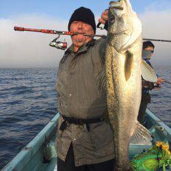 アマテラス 釣果