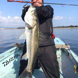 アマテラス 釣果