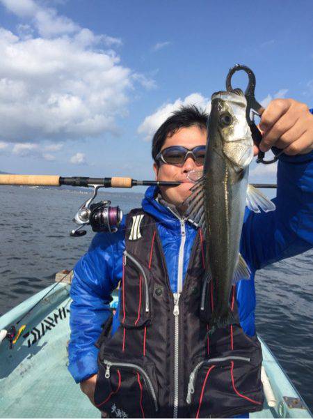 アマテラス 釣果