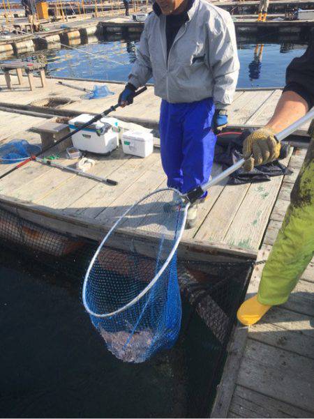 釣り堀水宝 釣果