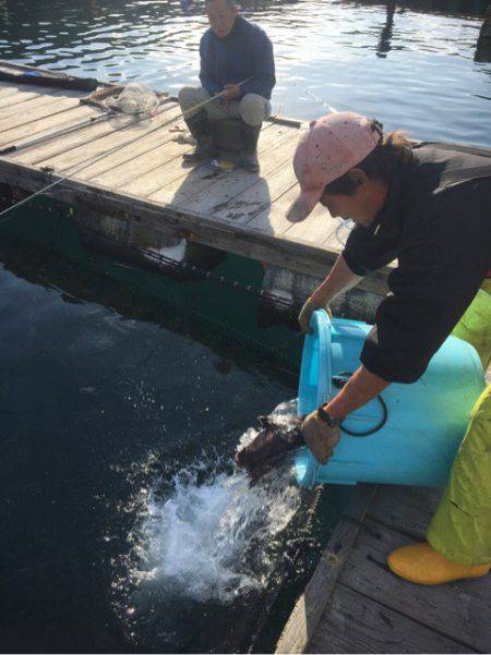 釣り堀水宝 釣果