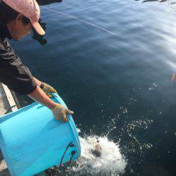 釣り堀水宝 釣果