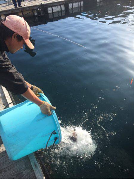 釣り堀水宝 釣果