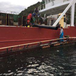 釣り堀水宝 釣果