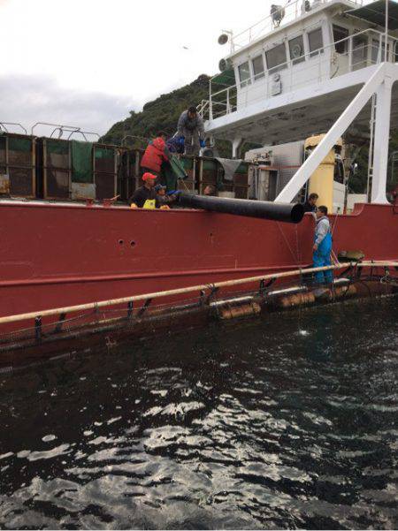 釣り堀水宝 釣果