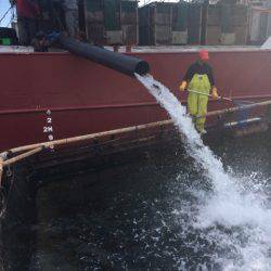 釣り堀水宝 釣果