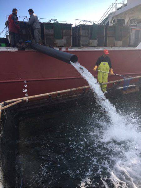 釣り堀水宝 釣果