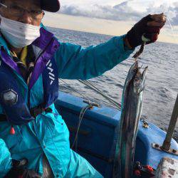 ヤザワ渡船 釣果