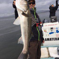 アマテラス 釣果