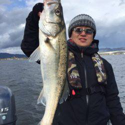 アマテラス 釣果