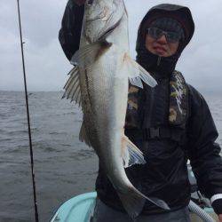 アマテラス 釣果