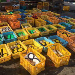 釣り堀水宝 釣果