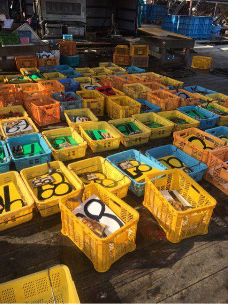 釣り堀水宝 釣果