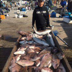 釣り堀水宝 釣果