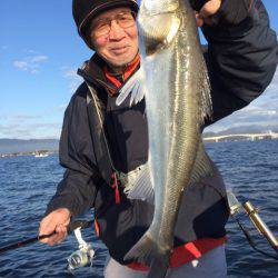 アマテラス 釣果