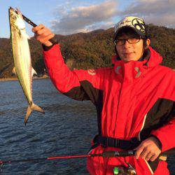 アマテラス 釣果