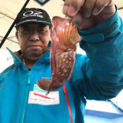 ヤザワ渡船 釣果