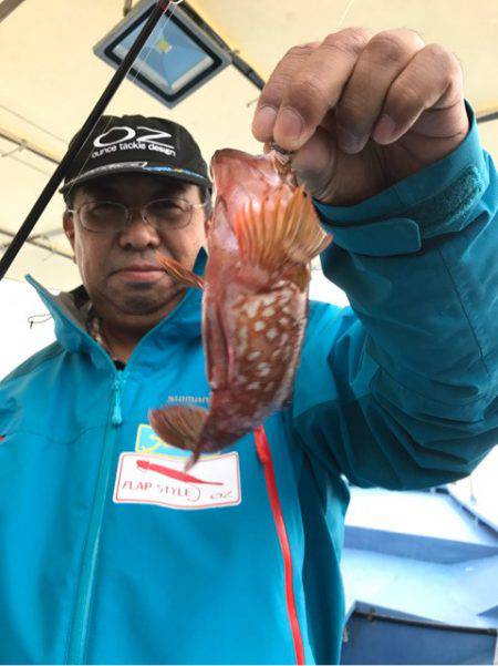 ヤザワ渡船 釣果