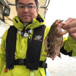 ヤザワ渡船 釣果