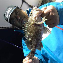 ヤザワ渡船 釣果