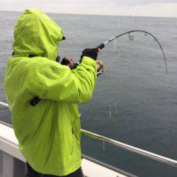 ビッグファイター 釣果