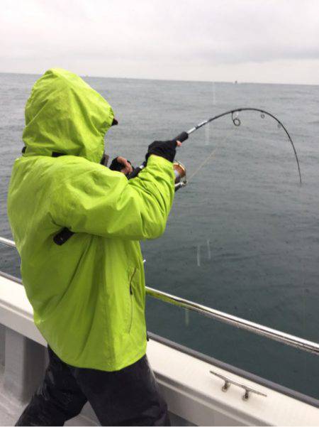 ビッグファイター 釣果