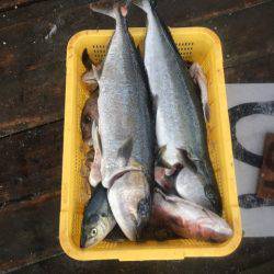 釣り堀水宝 釣果