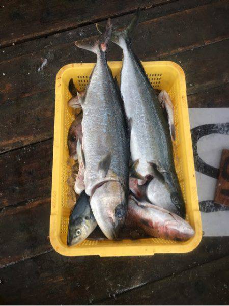 釣り堀水宝 釣果