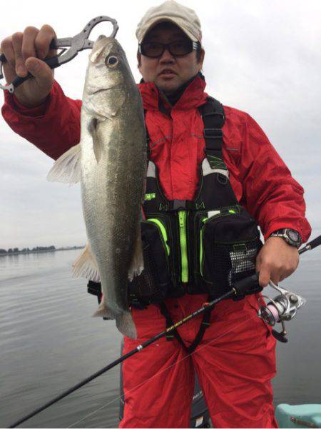 アマテラス 釣果