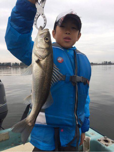 アマテラス 釣果