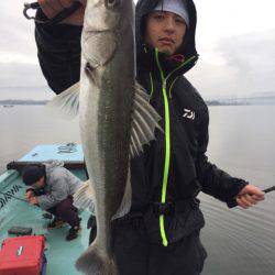 アマテラス 釣果