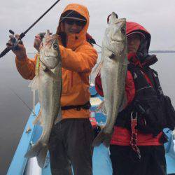 アマテラス 釣果