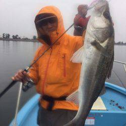 アマテラス 釣果