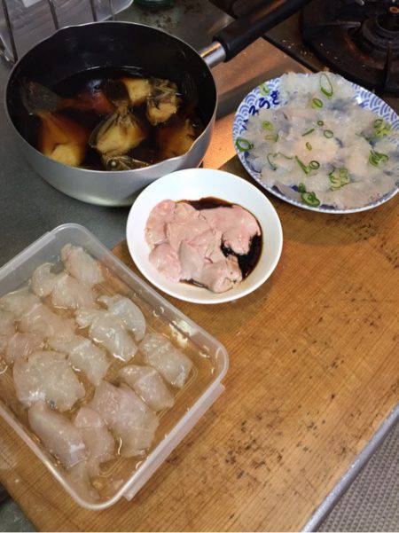 真正丸 釣果