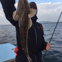 アマテラス 釣果